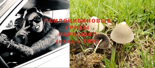 соль ск Алексин
