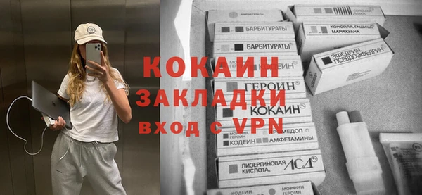 соль ск Алексин
